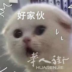 马德里提供各类西语翻译服务*（情绪价值拉满版）