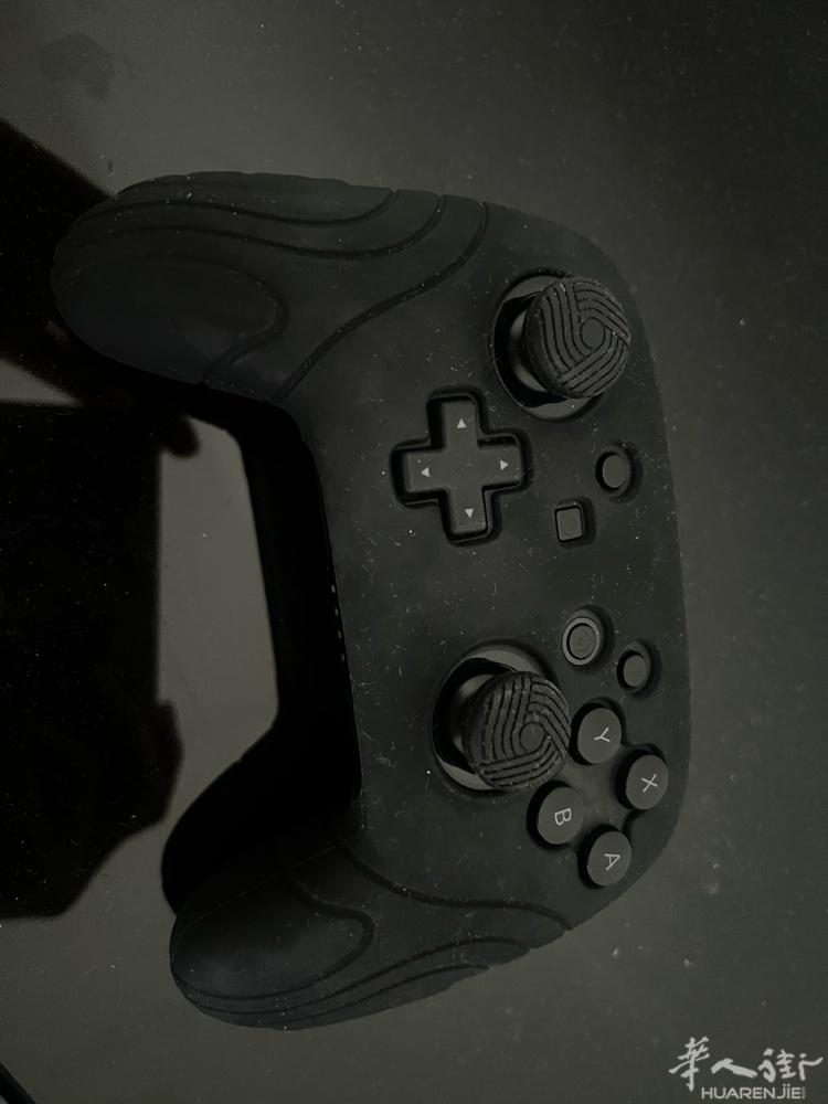 prato 出 switch 手柄pro 价格25欧 有意加微