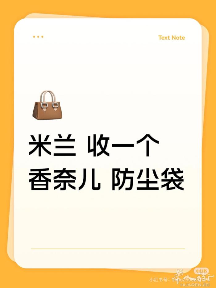 收购一个香奈儿防尘袋