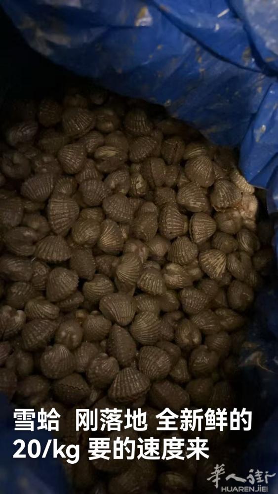 要的联系电话 3519122778 可以华人街或者maciachini 送货 多
