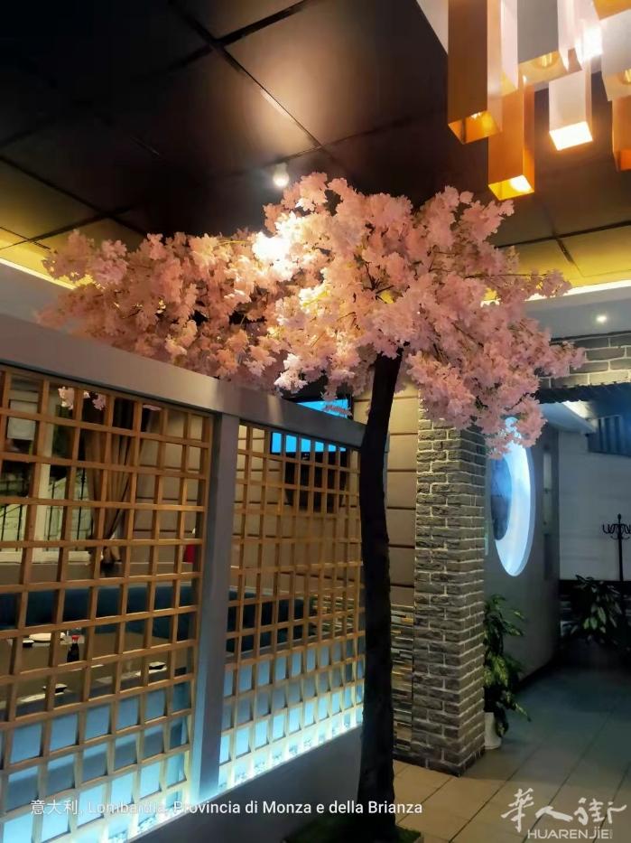 米兰边城市meda有一中日包餐出售, 9年老店，独栋别墅，楼上住家10个房间，楼