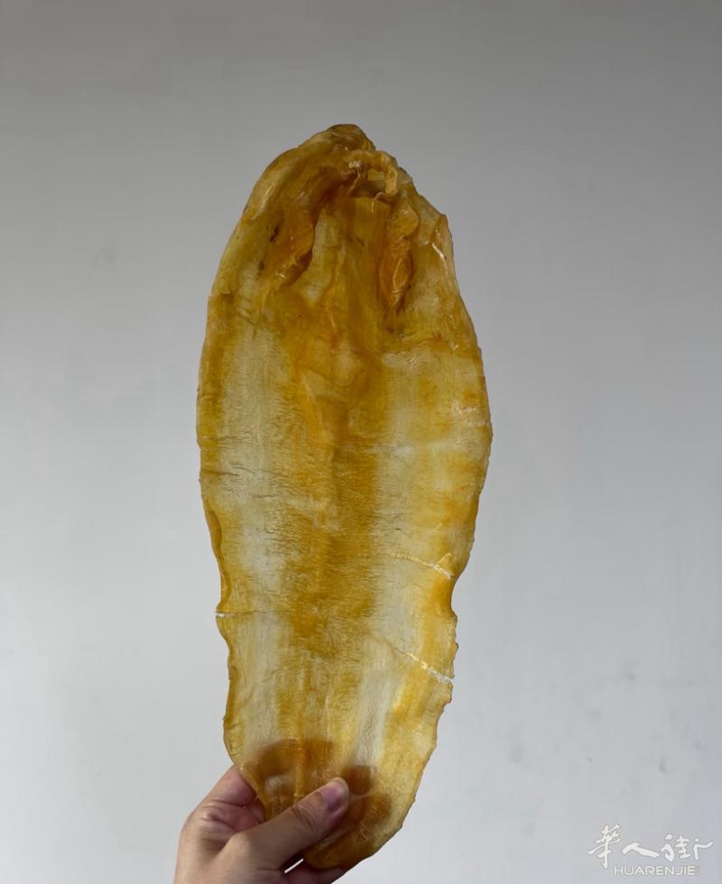 北海黄花胶  6-30头都有 巴黎现货 200-350欧不等