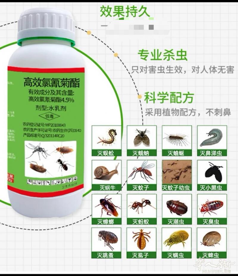 ＂自取可優惠效果好有效期3年特效药蟑螂蚂蚁各种臭虫药水浓度超高需加1000毫升水