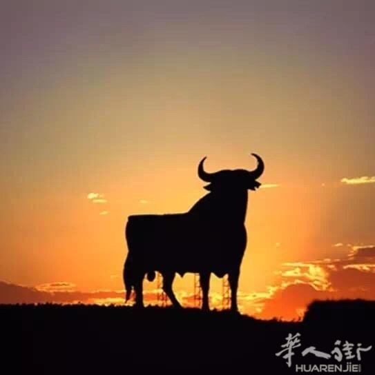 Doce octubre大医院附近 11月开始出租