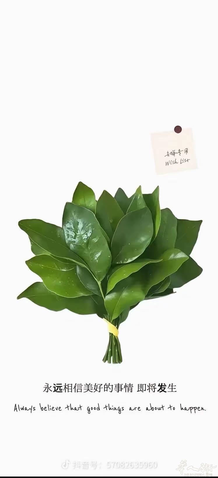 求租米尔海姆，杜伊斯堡，埃森的房子，不需要签合同的