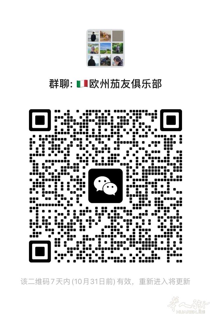 意大利灰茄群。纯灰茄交友分享。贩子买手勿扰。谢谢🙏