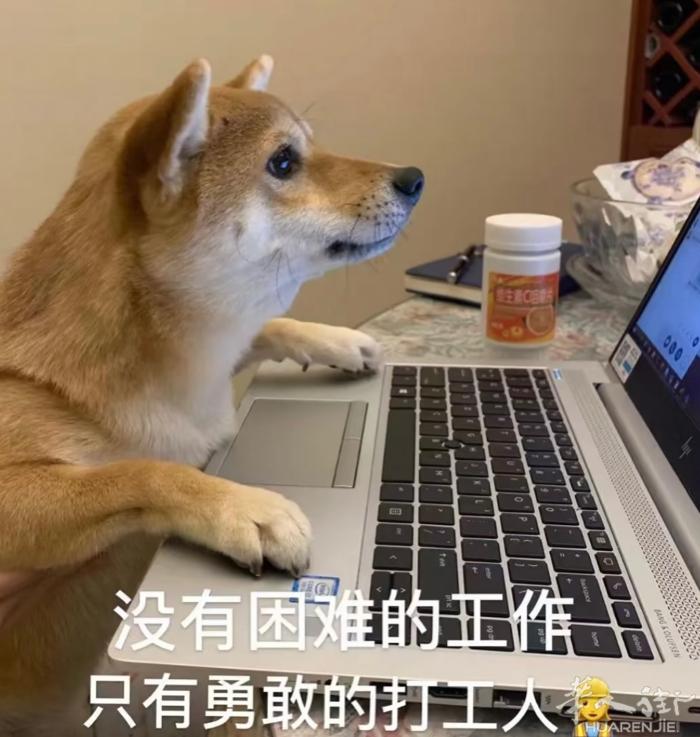 ❗️接翻译：佛罗伦萨陪同、电话 翻译，展会翻译，陪同翻译去警察局，补材料；电