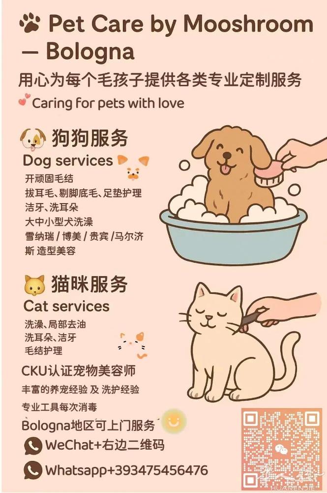 bologna宠物上门洗护 +WX WQYHCSNDM 家里有大狗不方便洗澡？吹