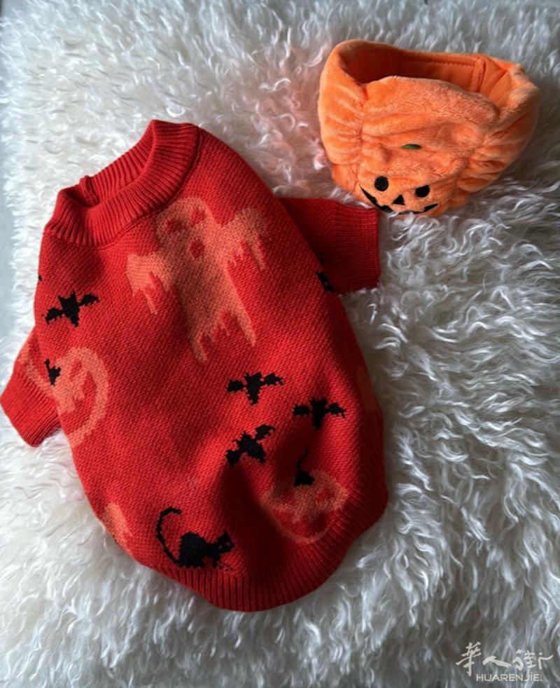 万圣节🎃全新狗狗猫咪服装
