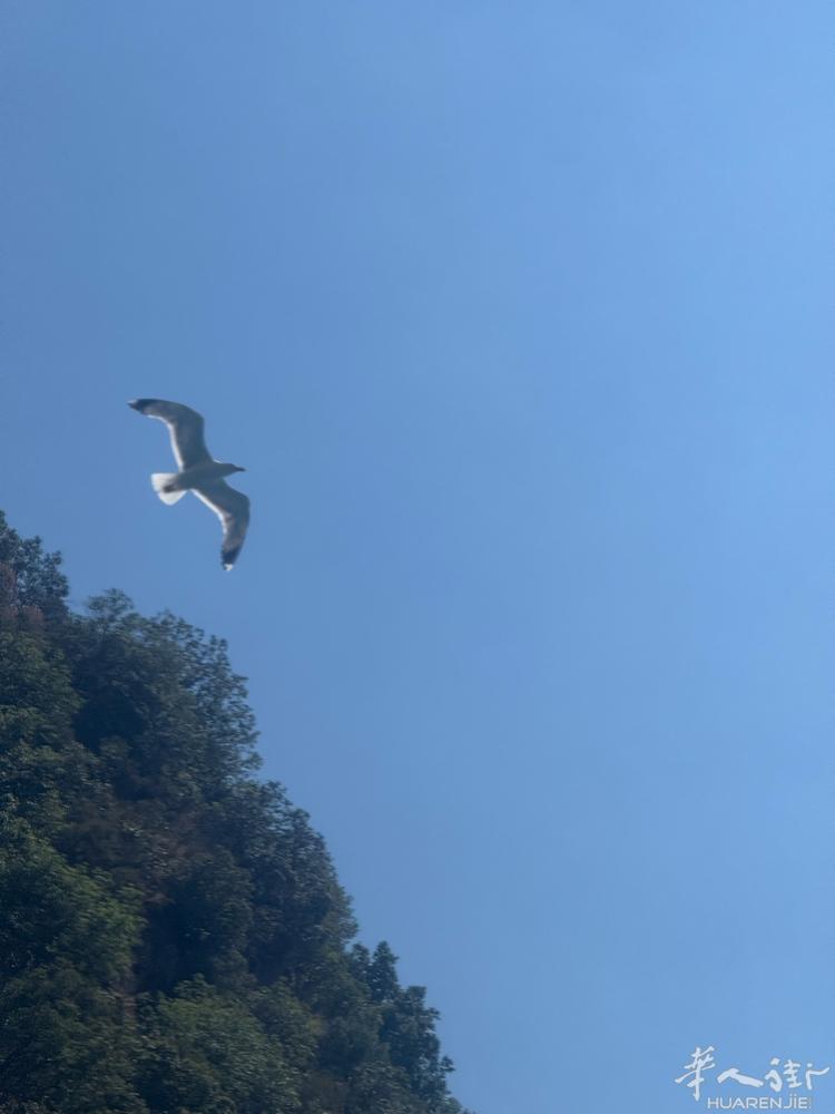 Reggio Calabria 招一名跑堂 ，不会可学，要会意语 ，老板年轻好说