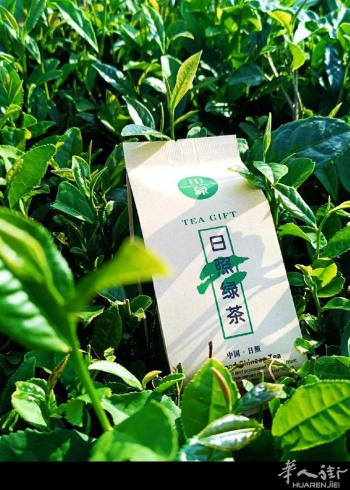 北方绿茶基地，山东绿茶，嫩芽采摘日期是四月初，人工炒制，汤色浓郁，真正的豌豆香味