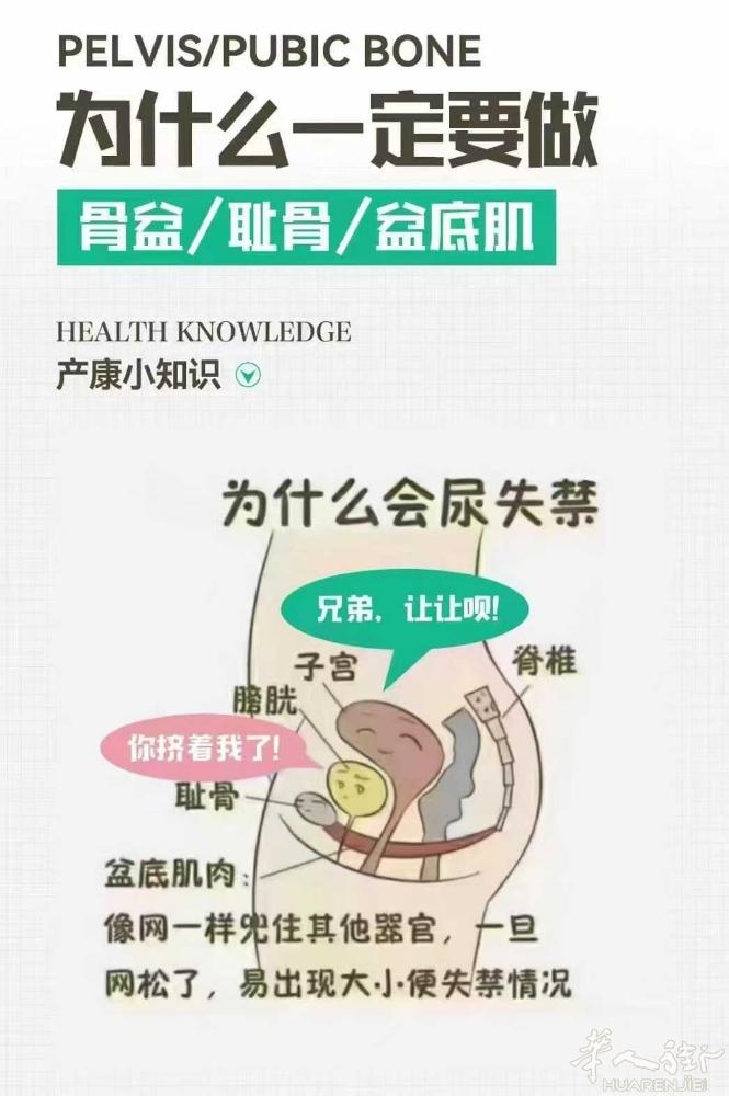 💖骨盆闭🈴 小知识 ❤ 盆腔闭合、腹直肌闭合、私密，三者密不可分 一定要同时