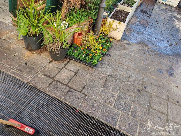Padova 商城边Vigonovo招跑堂一名熟练或有语言初学也可以，有责任心小