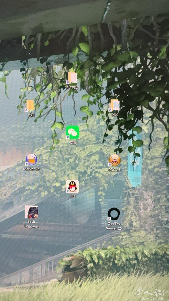 求职   顺带免费安装打版自动排软件