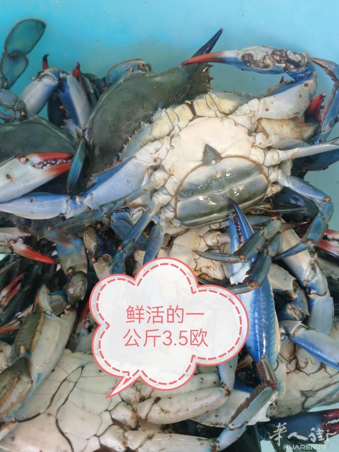 padova附近华人海鲜售货！码头直供branzino   orata来啦！跳过