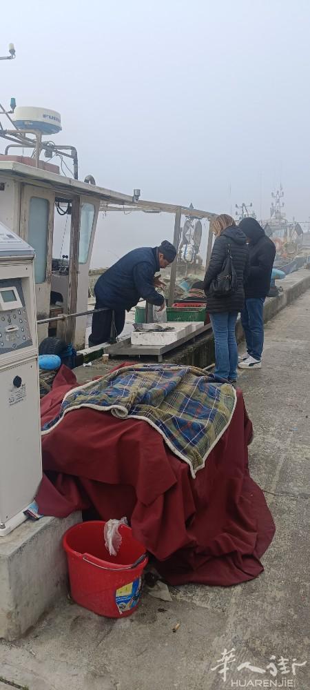 ferrara附近码头渔船出售 可出海十公里 包括捕鱼licenza 售价8万