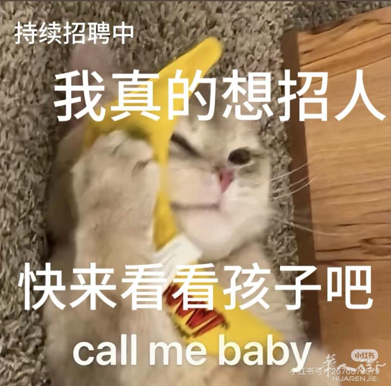 sesto招学徒中工手把手教