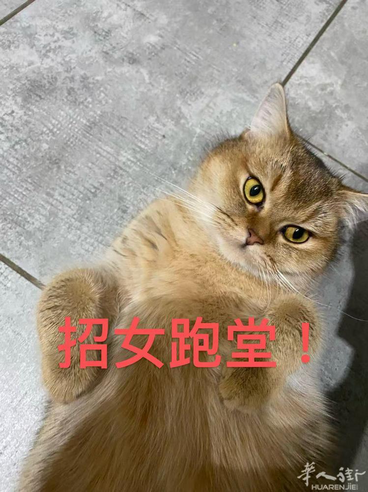 Siena附近小城市寿司店招女跑堂 要会意大利语 不会可学 同事都00后 很好相