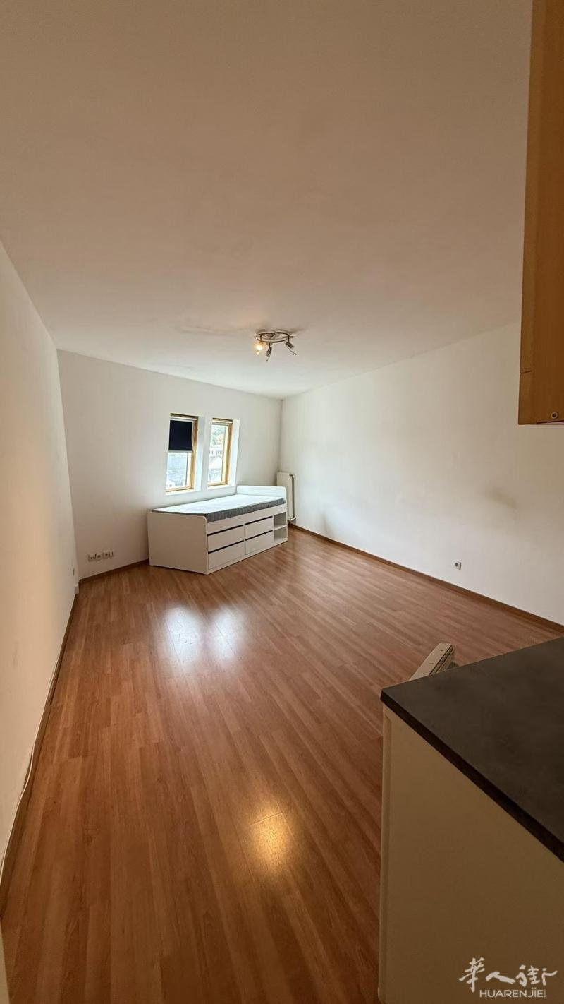 92省,Clamart（92140） (ID：205845) 30.3平的 studio