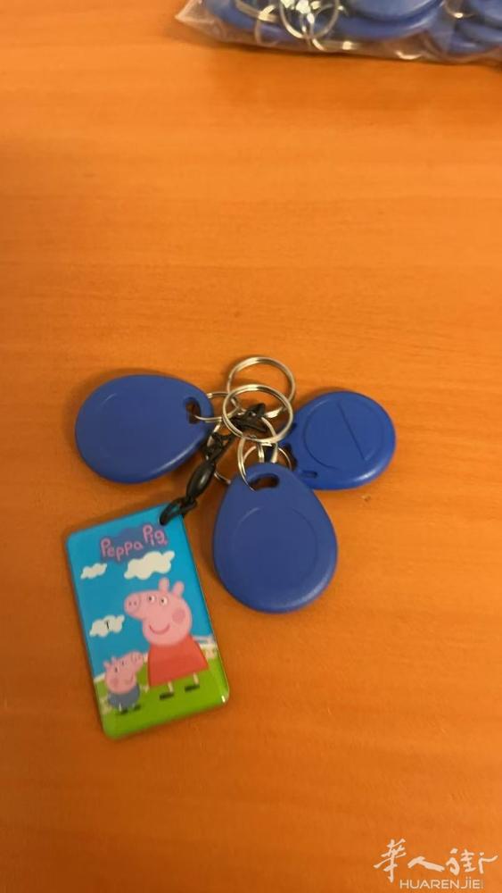 巴黎复制门禁卡，10欧一个。保证有用