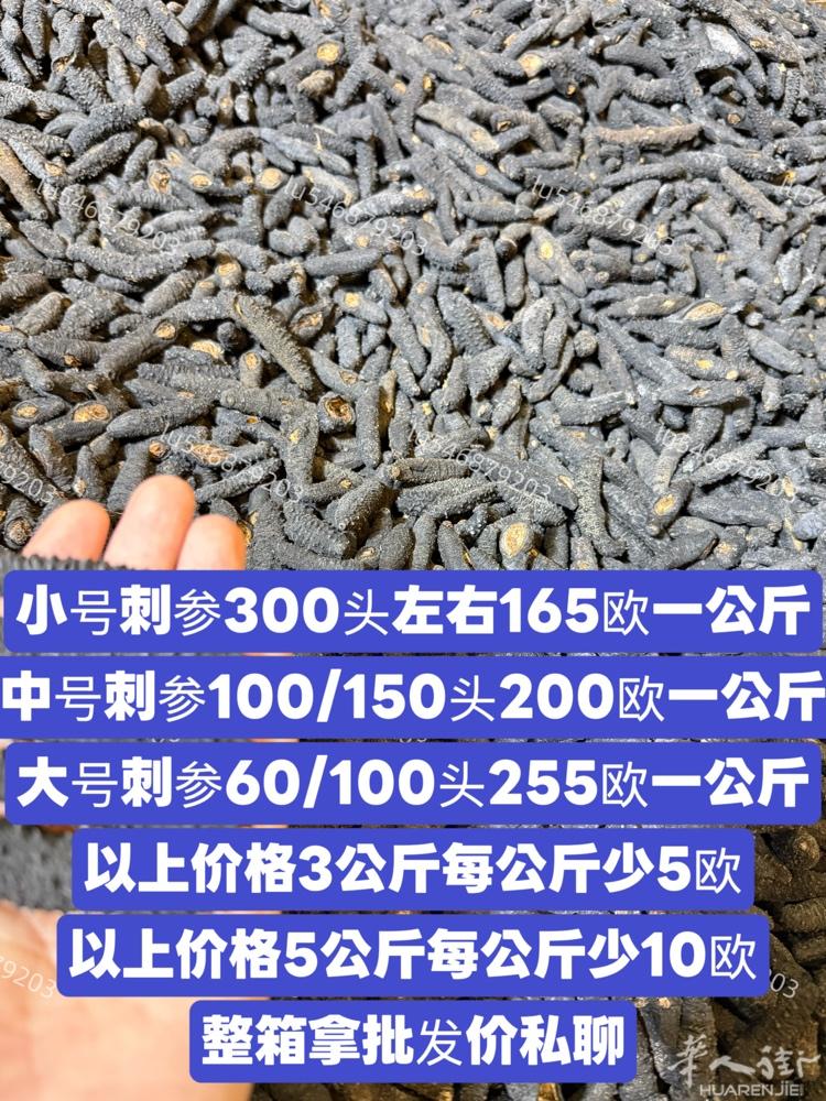 ⛽️⛽️✅✅✅正宗顶级希腊野生乌刺参  现货大号、中号、小号[玫瑰][玫瑰]泡发