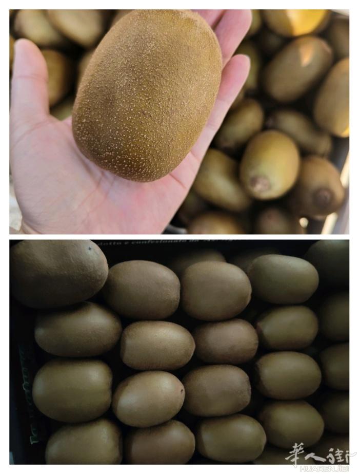黄心弥猴桃，普拉托地区可送货上门
