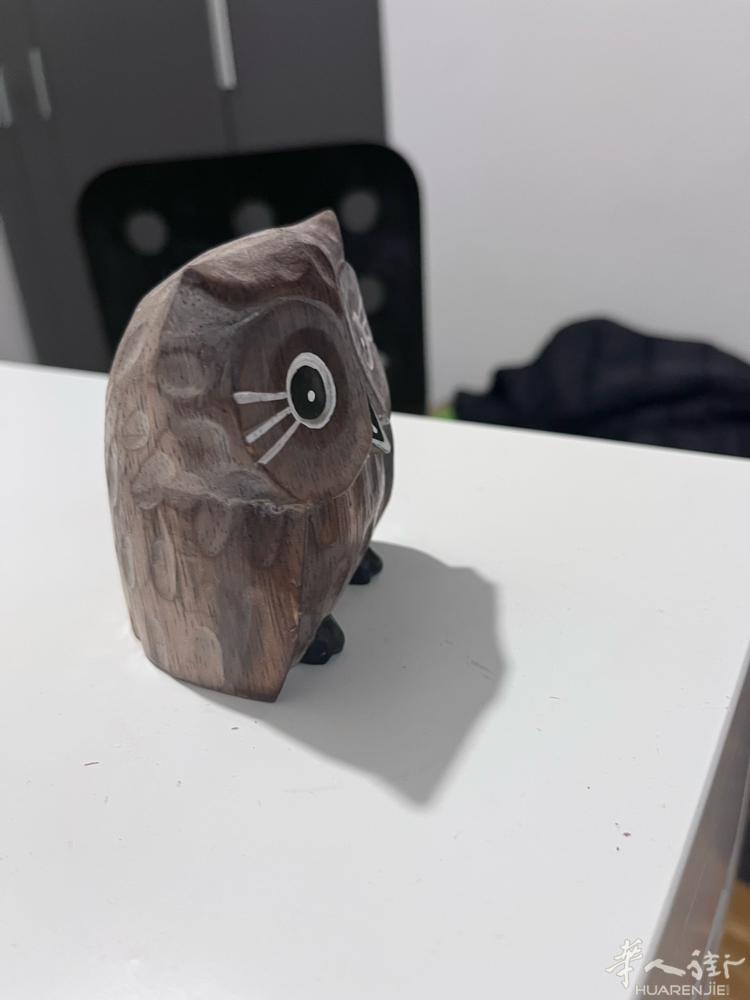 帕多瓦学生第二年续居留求合同和暂住证