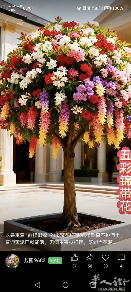 找身份，清白居留 开小工厂，1有想租掉的联系我3778875570