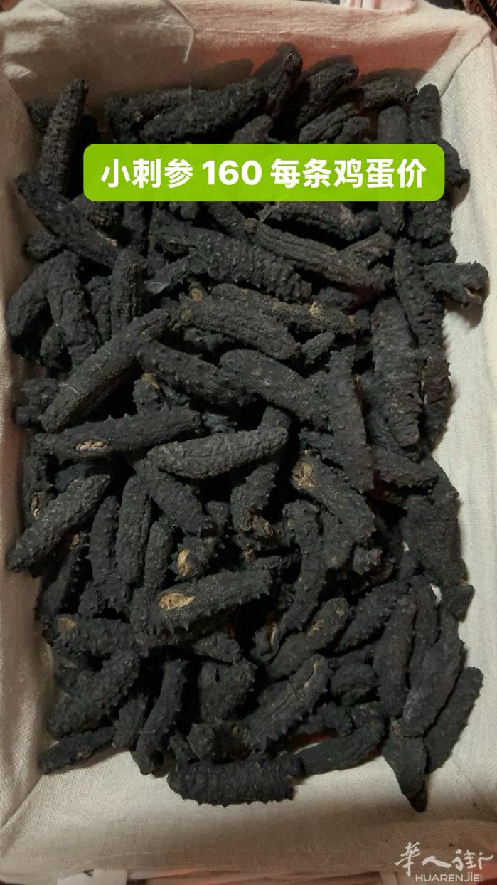 希腊刺参  橄榄油