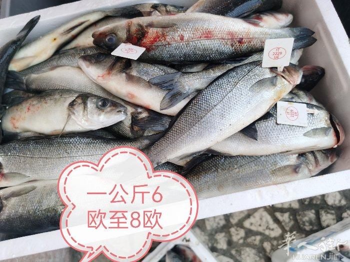 码头直供branzino   orata来啦！跳过中间商，价格直接砍一半！一公斤