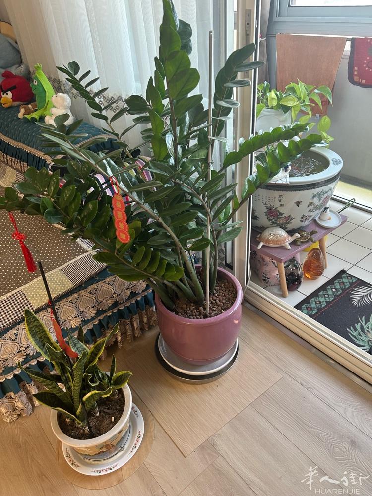 有喜欢的请联系我。谢谢 wc：wu60523