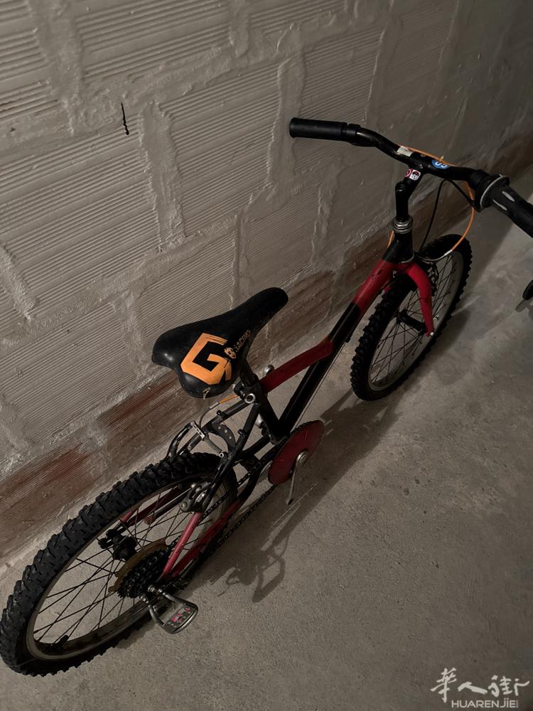 自取低价出售自行车🚲