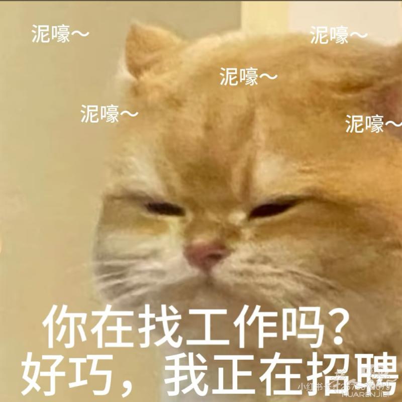 Sesto红线招学徒和中工