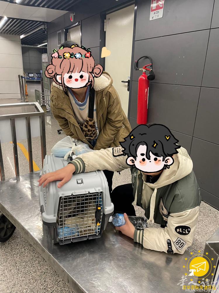 🐱小LiY准备回国啦🛫快递员携带 🇮🇹意大利罗马-莱州 主人一直陪着Li