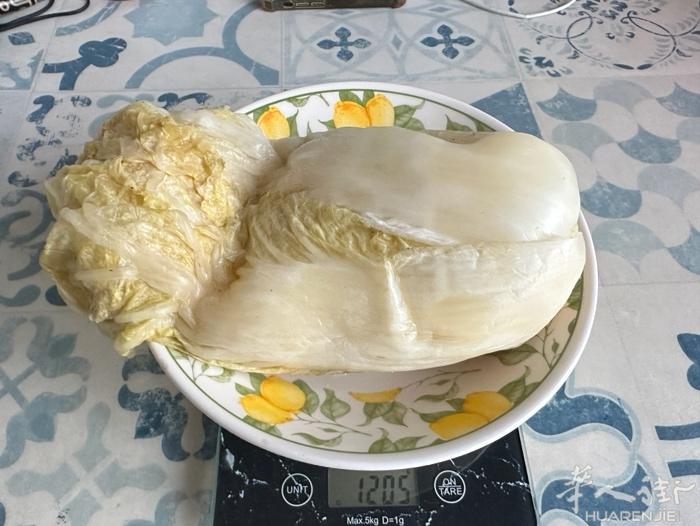 自己家淹的东北酸菜 10欧一颗  每棵大小都差不多 需要自取 地址在crimee