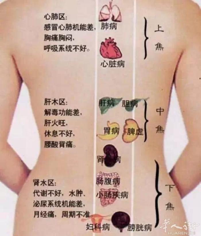 调理肩颈，手臂痛，走路没精神，过来试试