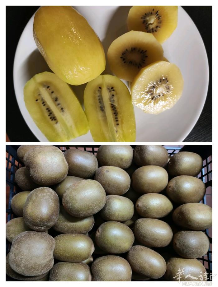 富含维c,现货.普拉托地区可送货上门，
