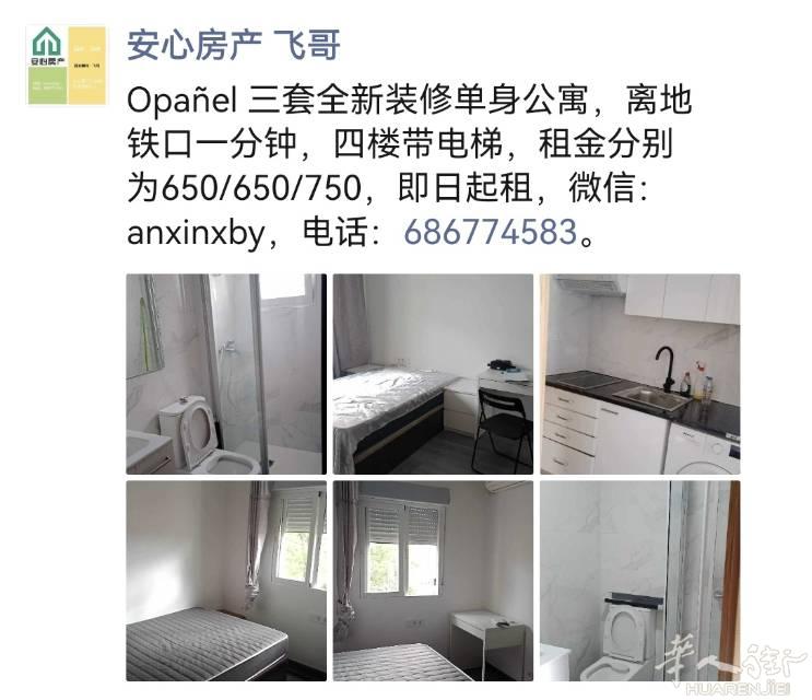 Opañel 三套全新装修单身公寓，离地铁口一分钟