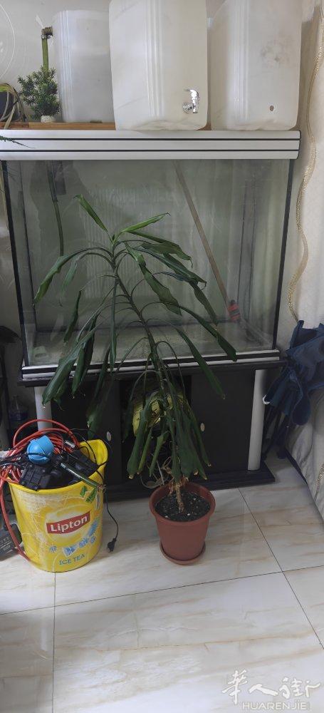 200 欧元送过滤器自取 0782508575