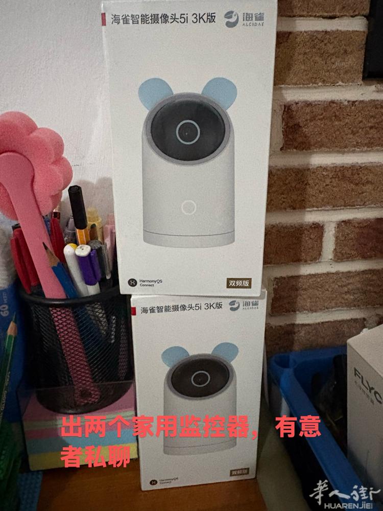 出两个全新的家用监控器