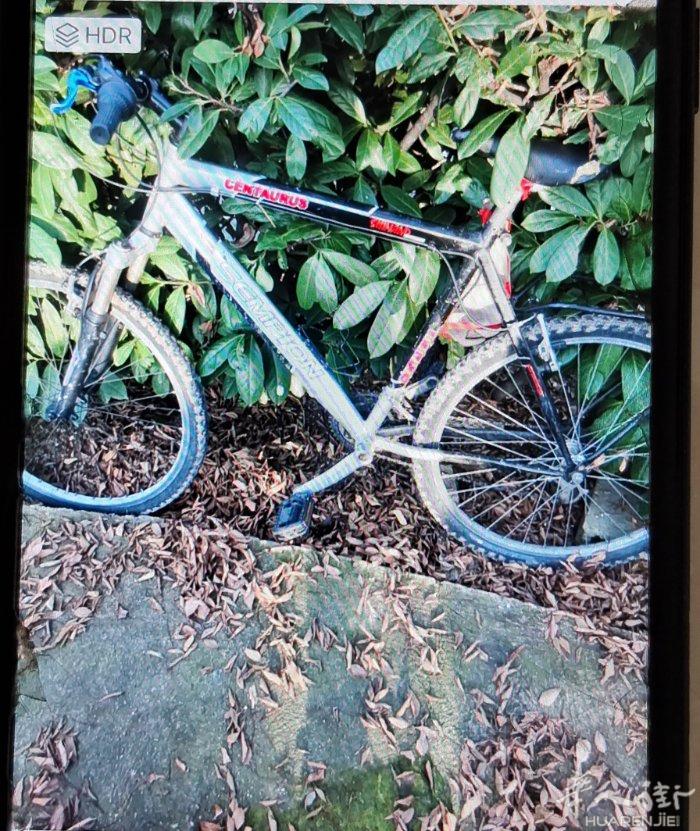 Bergamo €50出二手自行车，很轻很轻便。车在bergamo边
