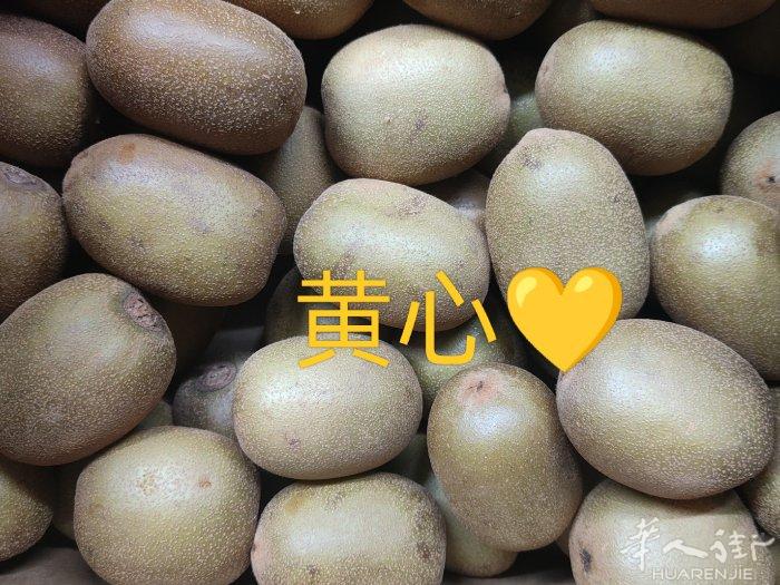 维c，大个 有需要可以联系3278780086，普拉托可送货上门