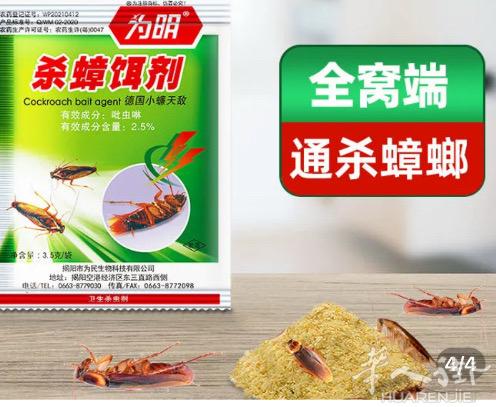 清倉大特價蟑螂螞蟻藥粉1包1欧藥水1瓶25 €有需要聯絡