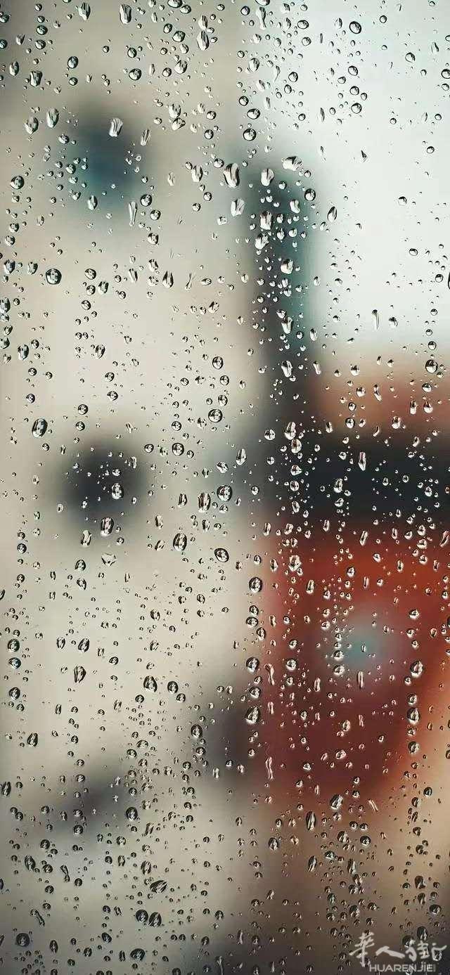 雨
           
冬雨