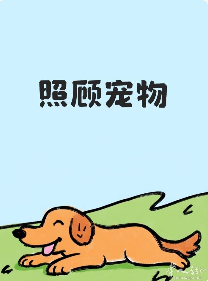 代理照顾宠物，安心过年出外度假，详情请联系，微信WhatsApp同号