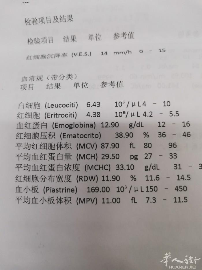 有化验单十B超十拍片十CT意大利语看不懂翻译中文版联系我