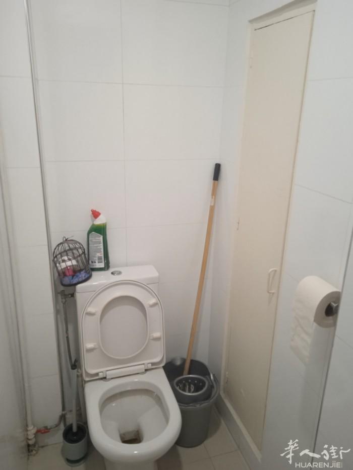 19區8樓一間大房分租