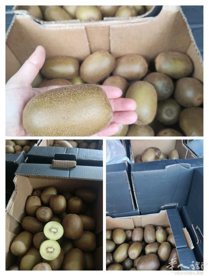 黄心💛弥猴桃，普拉托地区可送货上门