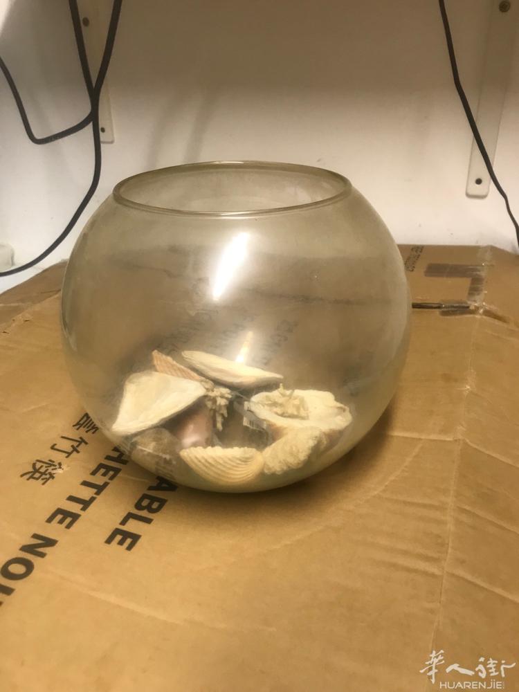 出一个闲置小鱼缸