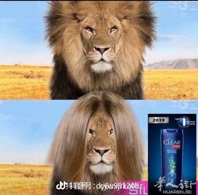 理发店招聘女性学徒，初级中工，无要求 ，勤快肯学就
